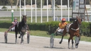 20th horse-racing meeting 2011 – 1st May